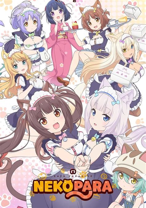 nekopata|nekopara streaming.